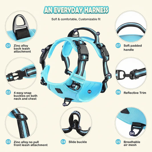 Dog harness with features highlighted on a white background