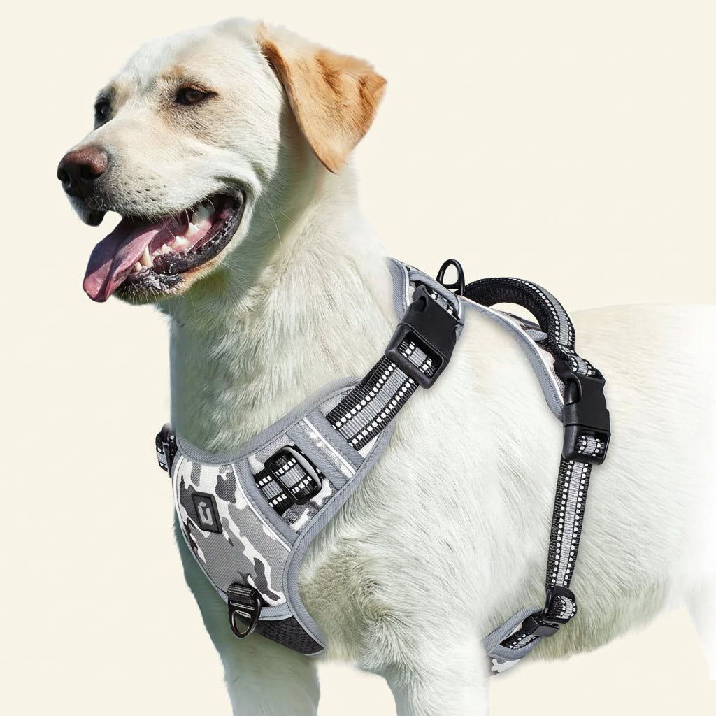 Dog wearing a gray camouflage harness on a white background