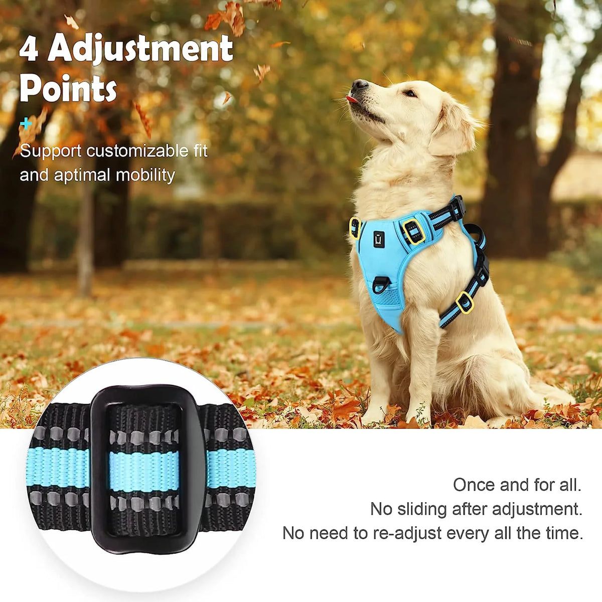 No-Pull Control Harness for Small to Large Dogs