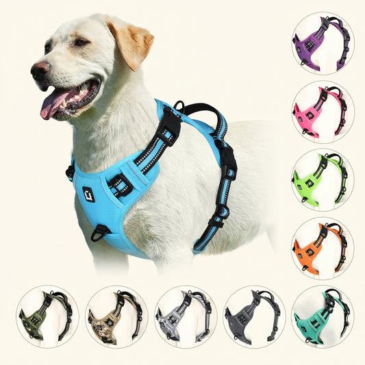 A white dog wearing a bright blue reflective harness, shown on a clean white background with circular inset images of the harness in multiple colors including purple, pink, green, orange, black, and teal.